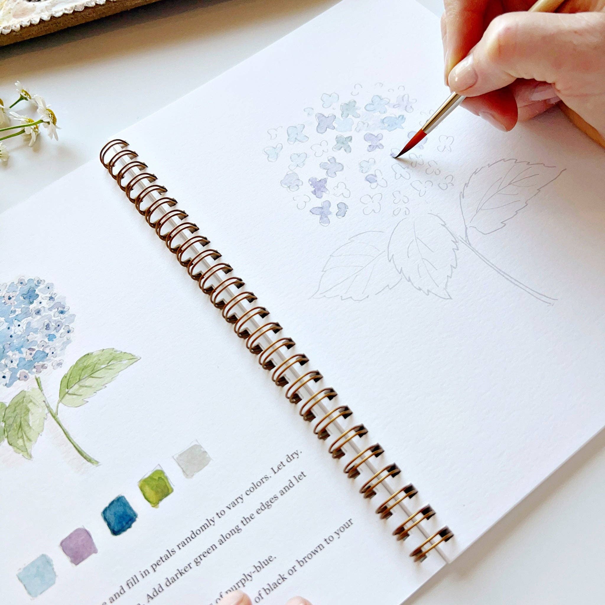 Flowers Watercolor Workbook · Emily Lex Studio