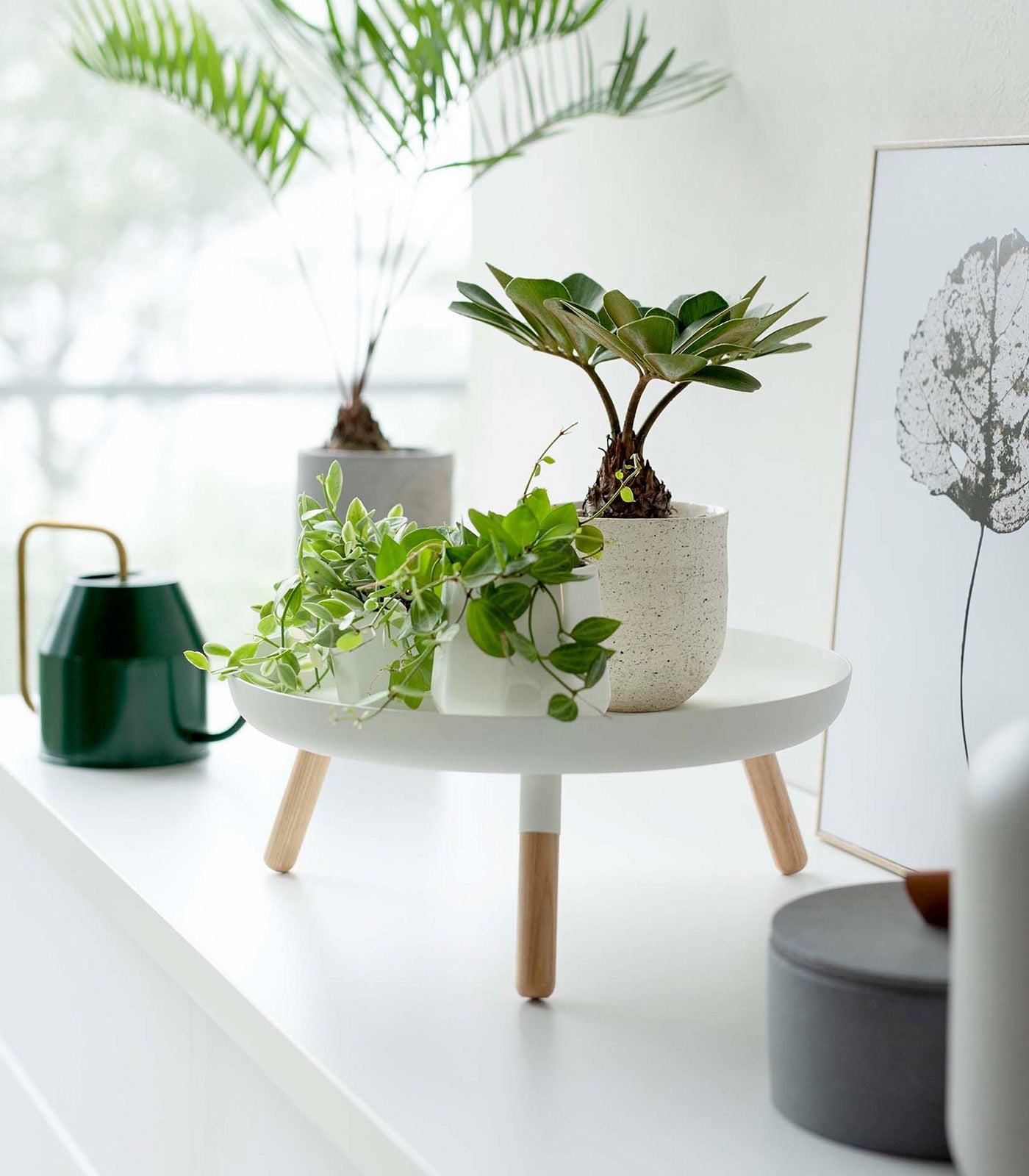 Countertop Pedestal Tray (5" H)  · Steel + Wood